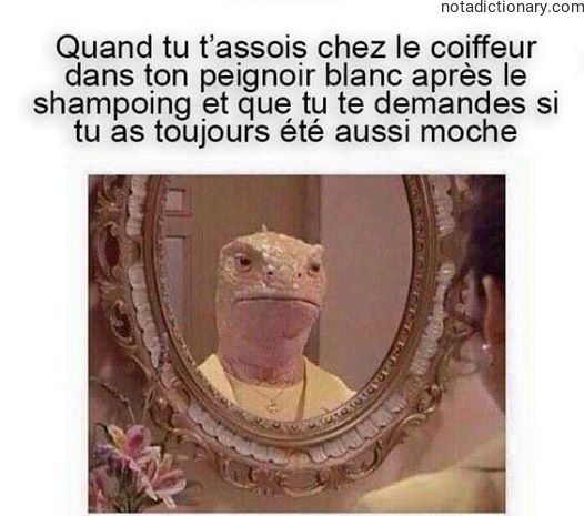 Learn French With Memes: The Haircut Regret