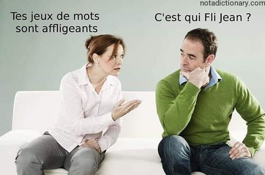 Learn French With Memes: Affligeant Puns