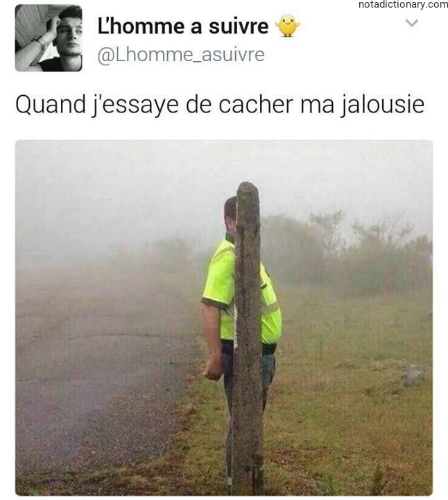 Learn French With Memes: Cacher Ma Jalousie