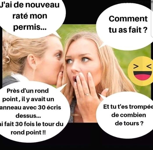 Learn French With Memes: The Roundabout Fail