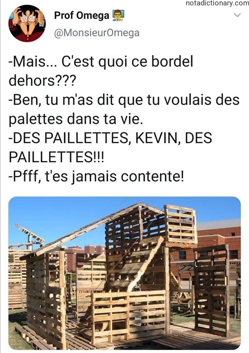 Learn French With Memes: Palettes vs Paillettes