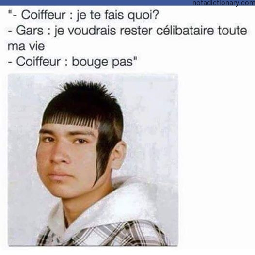 Learn French With Memes: Le Célibataire