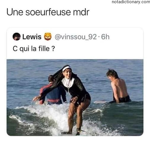 Learn French With Memes: Who Is That Girl?