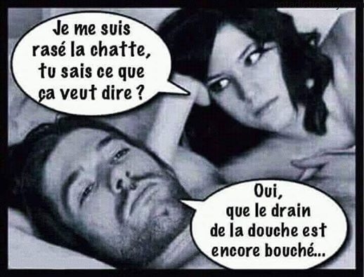 Learn French With Memes: Bathroom Humor