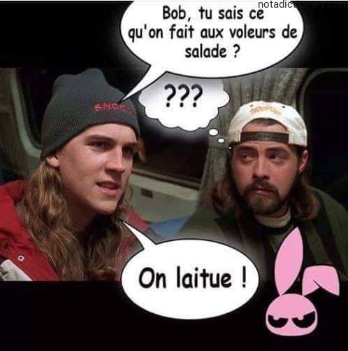 Learn French With Memes: On Laitue!