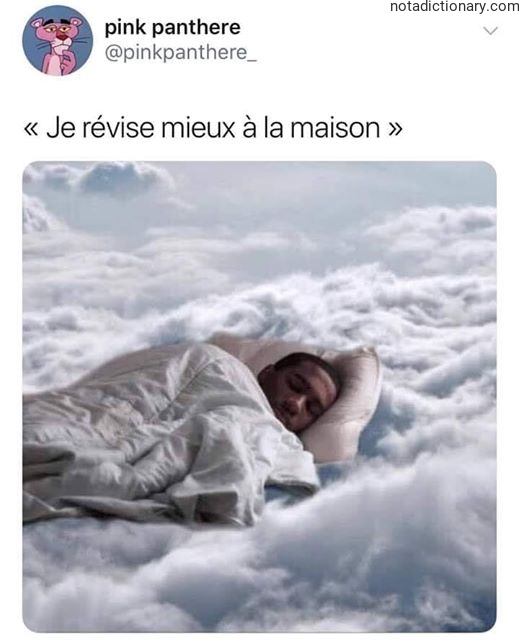 Learn French With Memes: Studying at Home