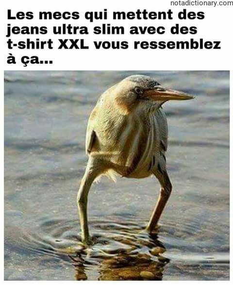 Learn French With Memes: Slim Jeans vs XXL Shirts