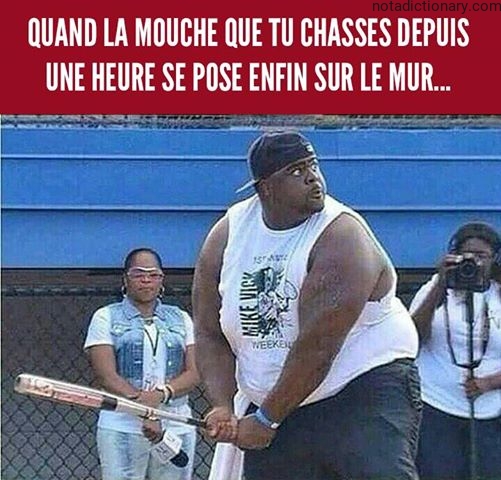 Learn French With Memes: La Mouchardage