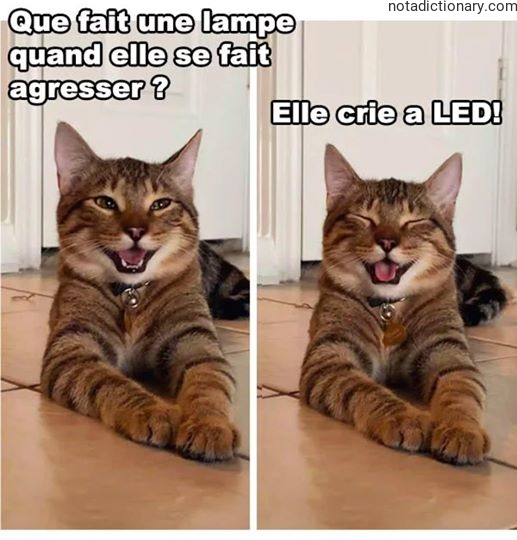 Learn French With Memes: The Light Bulb Joke