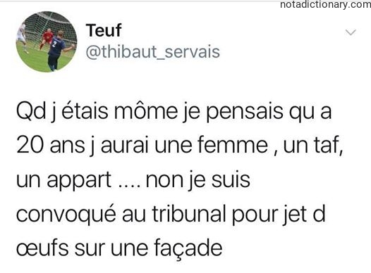 Learn French With Memes: L’Échec de l’Avenir