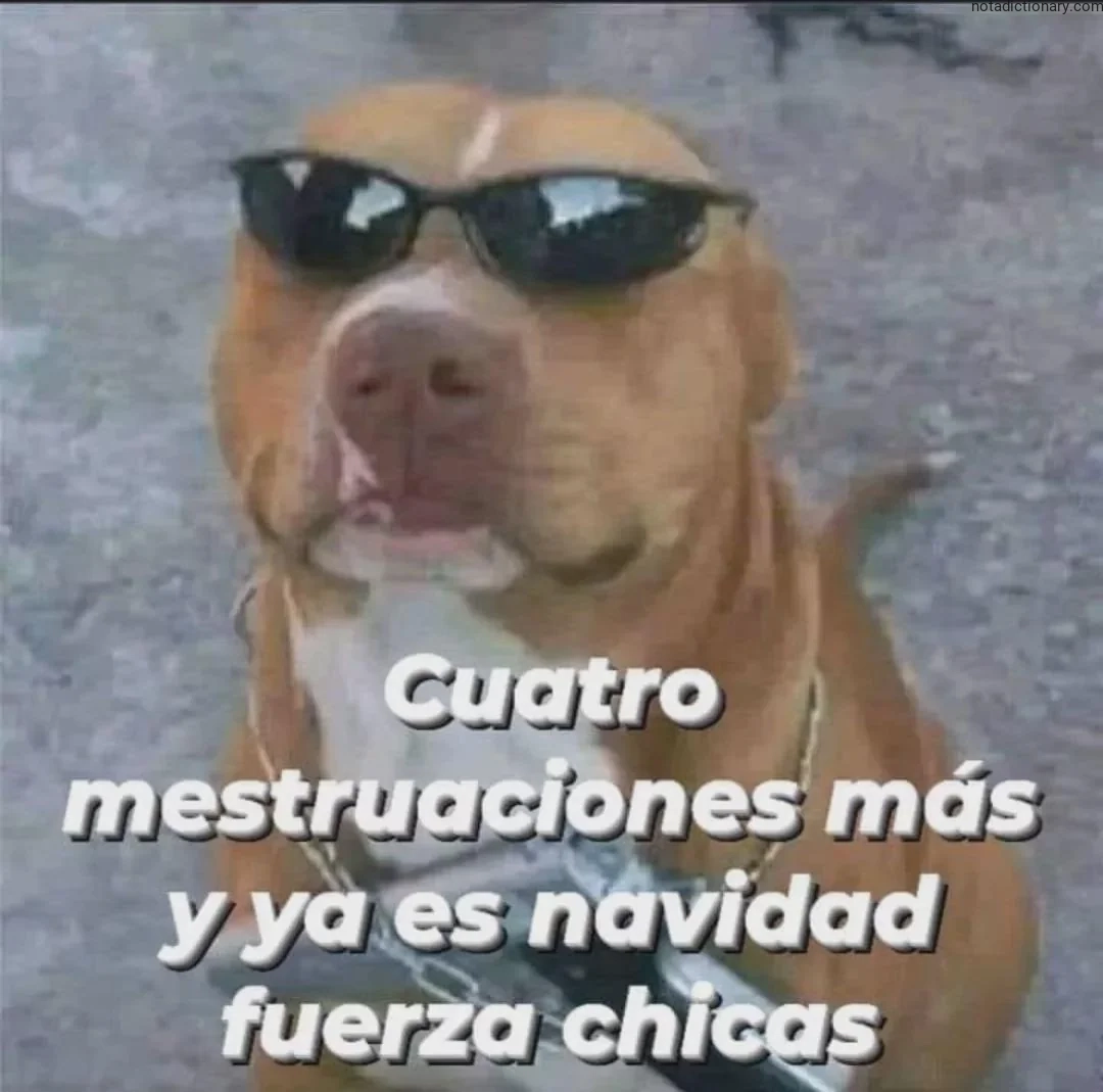 A dog wearing sunglasses representing the Spanish phrase Cuatro menstruaciones más y ya es navidad fuerza chicas when speaking about time passing quickly for learning grammar.