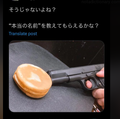 Learn Japanese With Memes: The Real Name Reveal